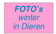FOTO’s
winter
in Dieren